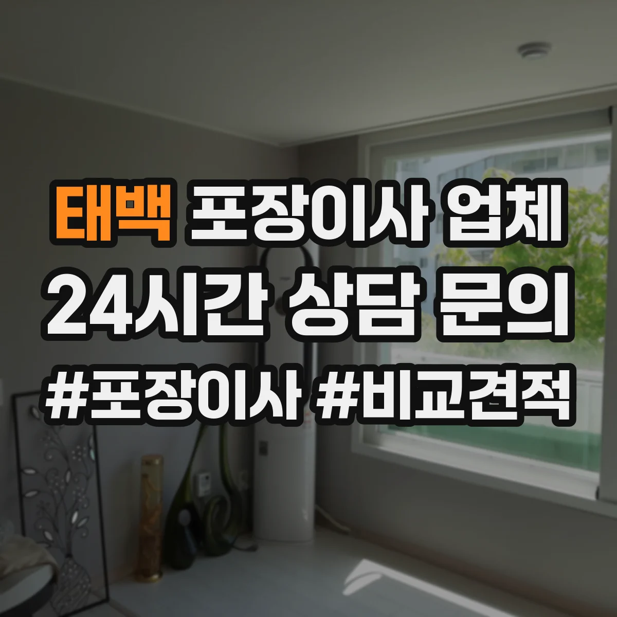 태백 포장이사 업체