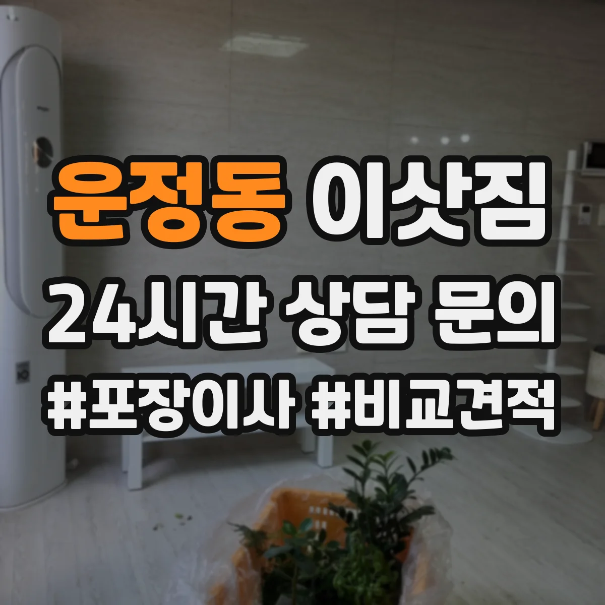 운정동 이삿짐