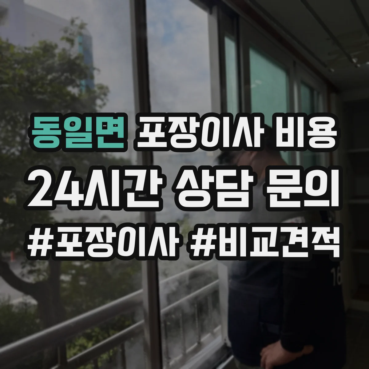 동일면 포장이사 비용