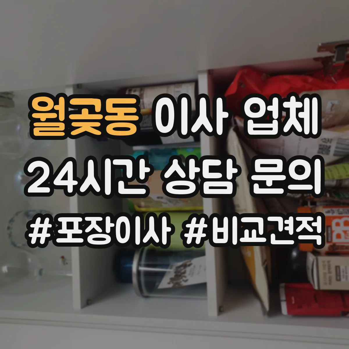 월곶동 이사 업체