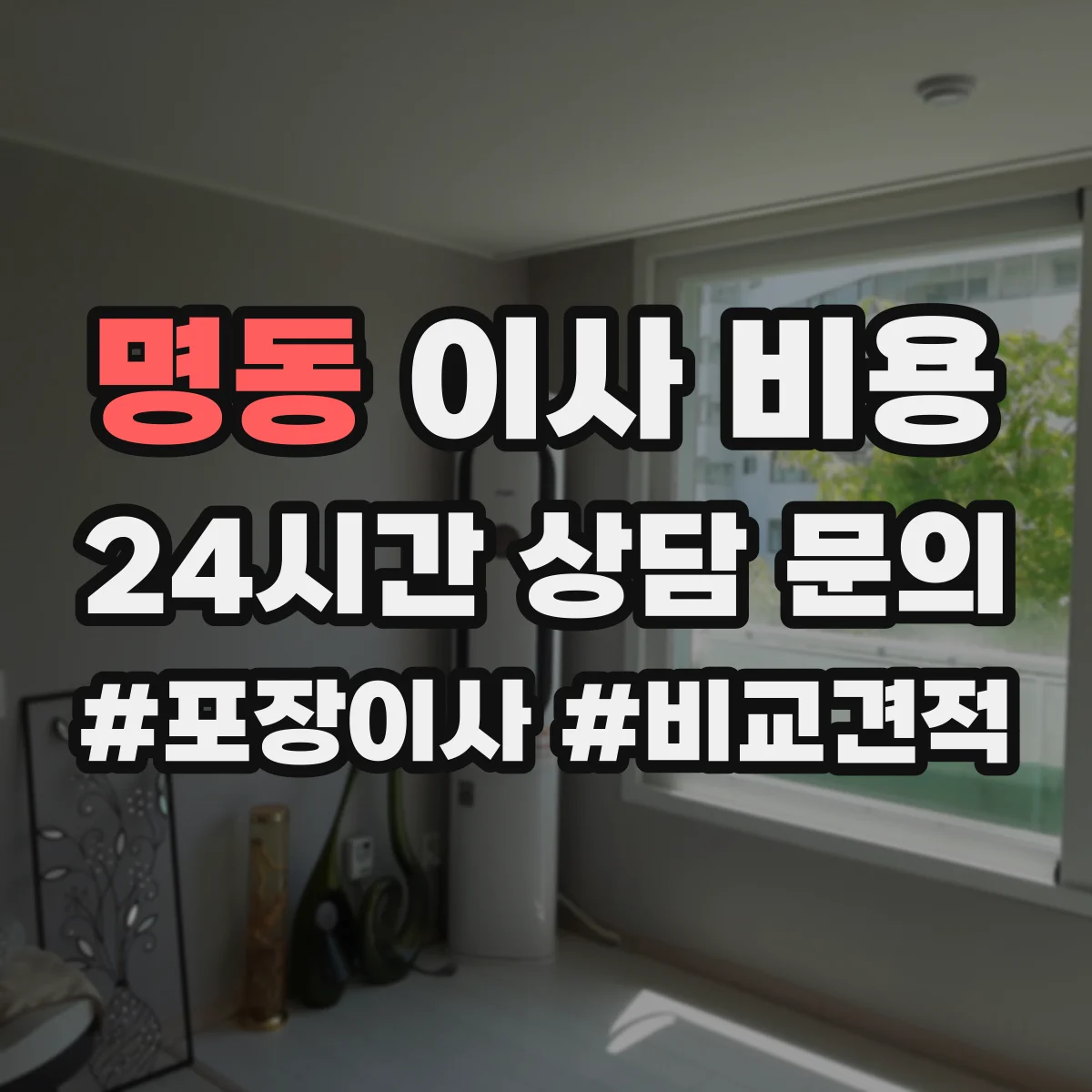명동 이사 비용