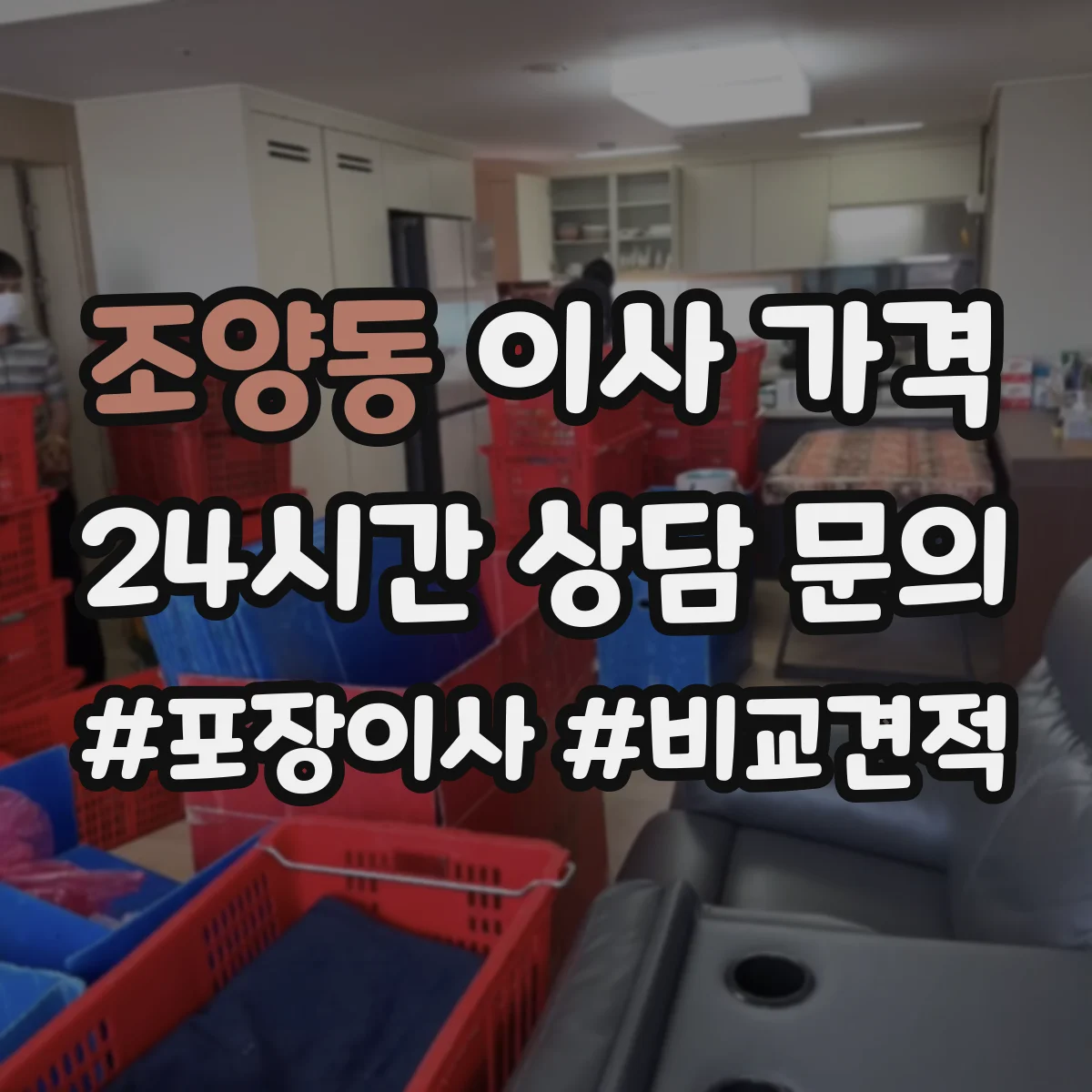 조양동 이사 가격