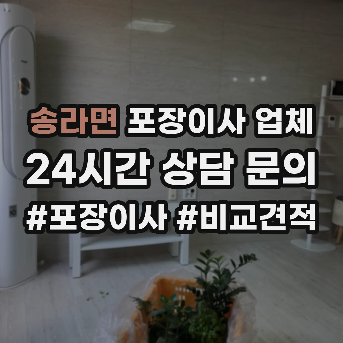 송라면 포장이사 업체