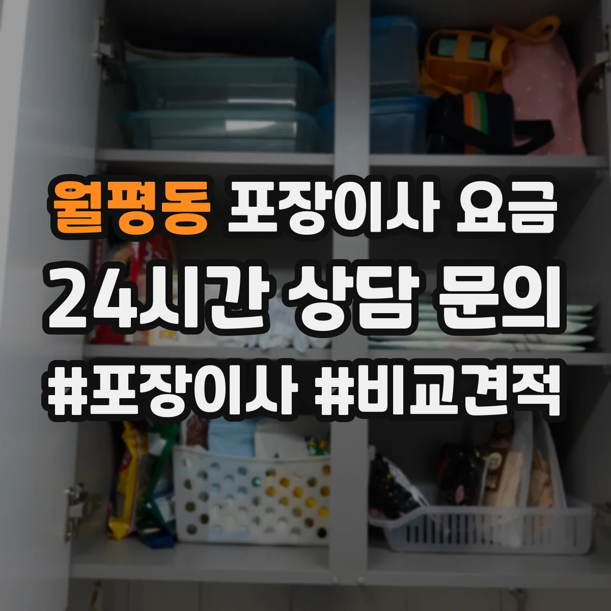 월평동 포장이사 요금