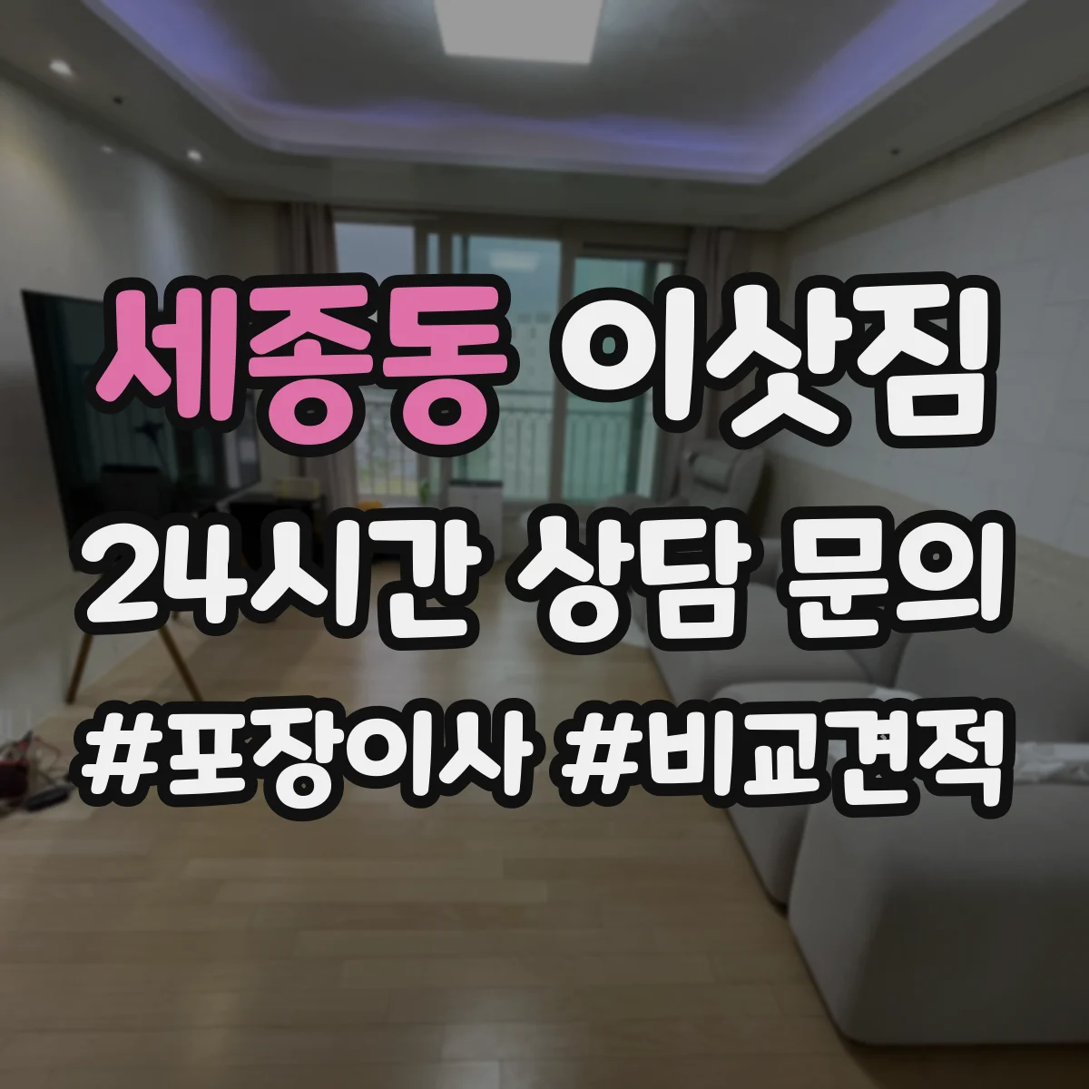 세종동 이삿짐