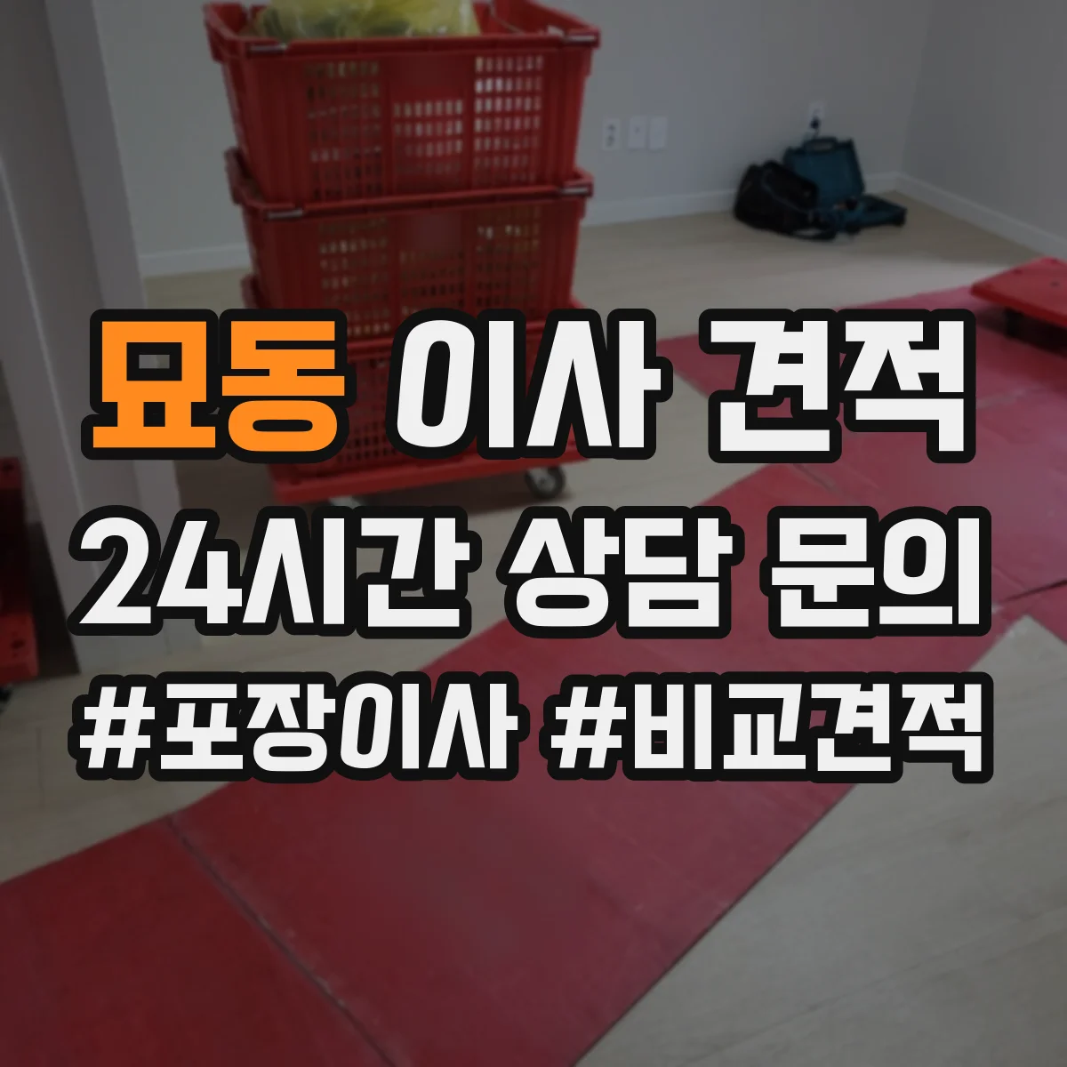 묘동 이사 견적