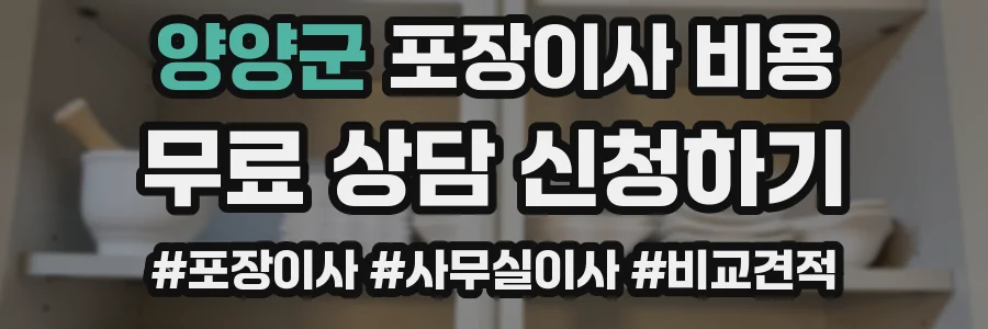 양양군 포장이사 비용