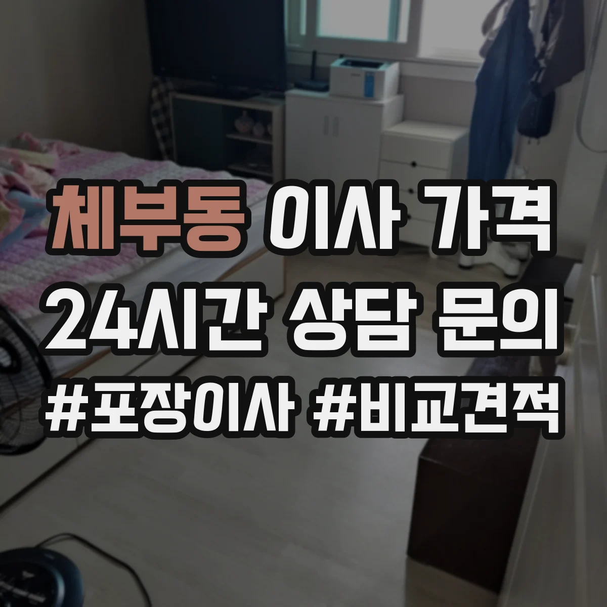 체부동 이사 가격