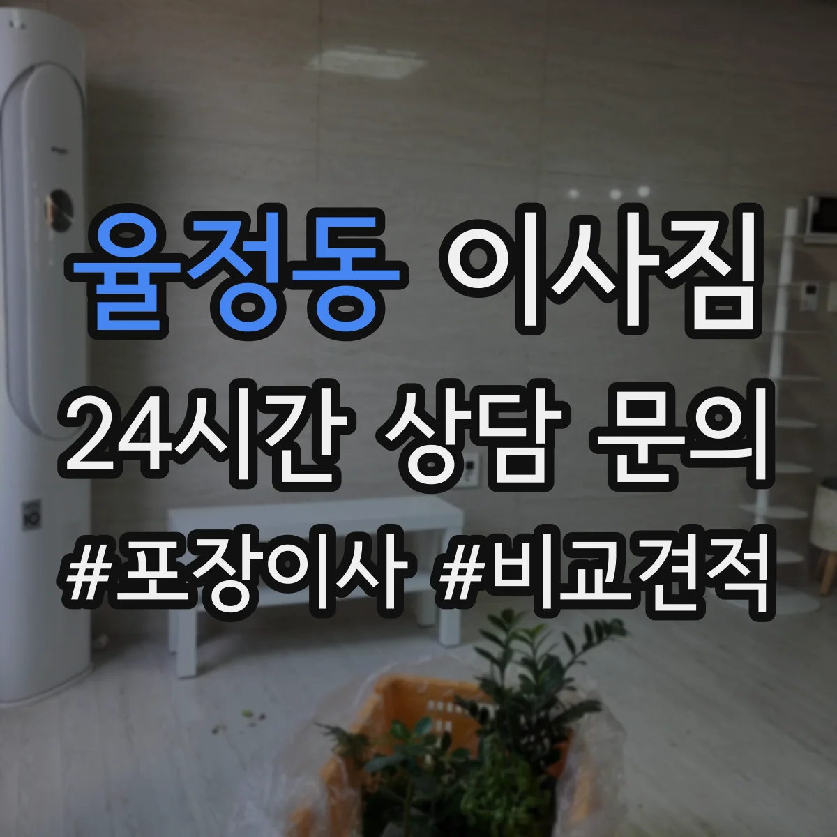율정동 이사짐
