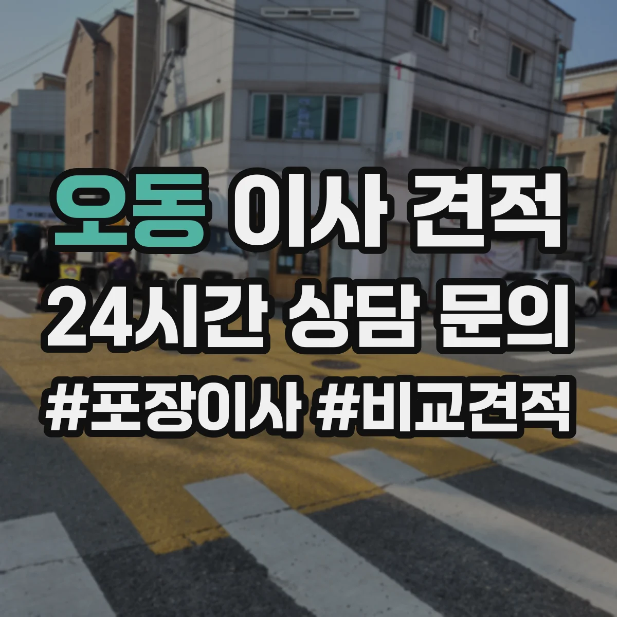 오동 이사 견적