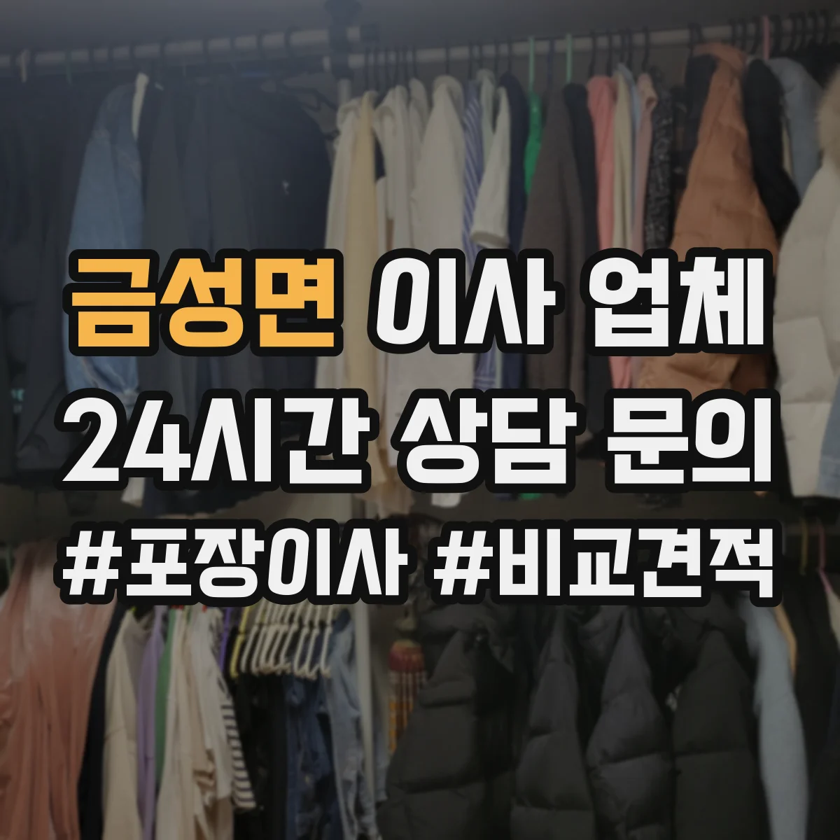 금성면 이사 업체