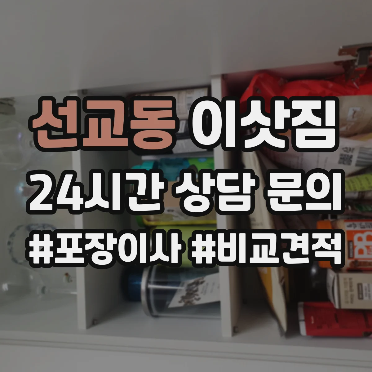 선교동 이삿짐