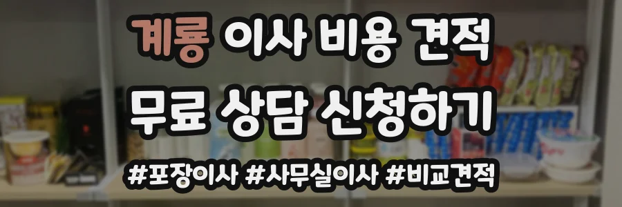 계룡 이사 비용 견적