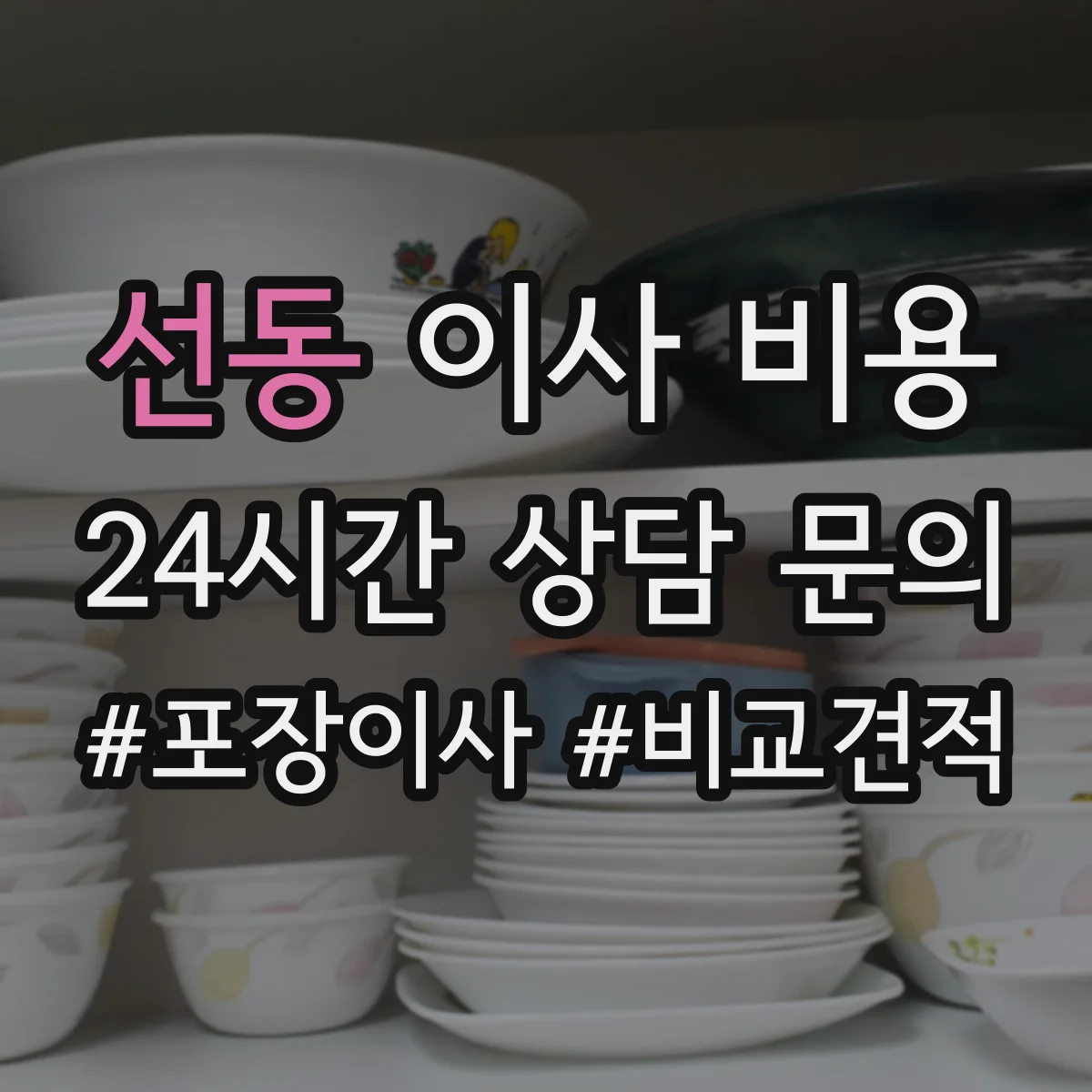 선동 이사 비용
