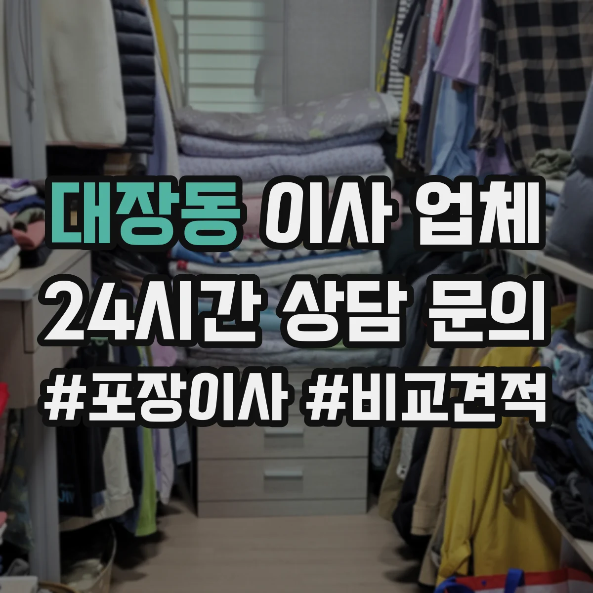대장동 이사 업체