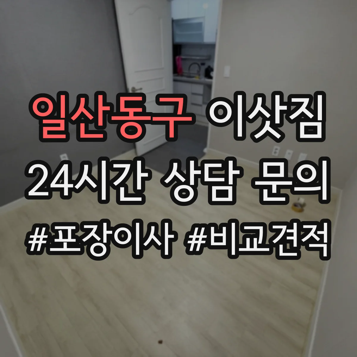 일산동구 이삿짐