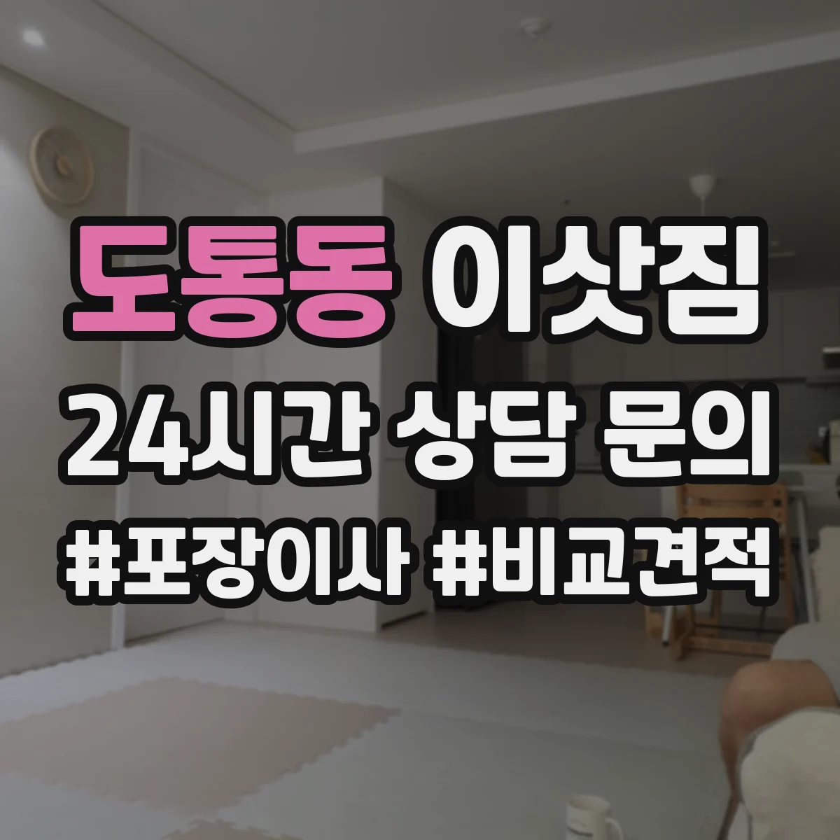 도통동 이삿짐