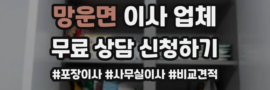 망운면 이사 업체