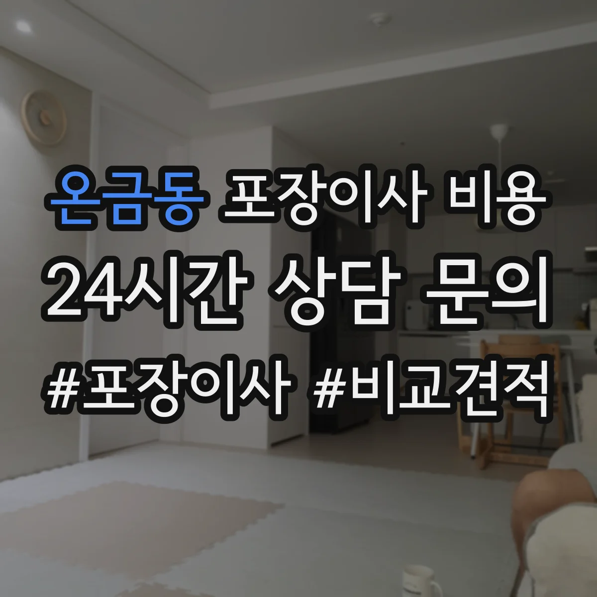 온금동 포장이사 비용