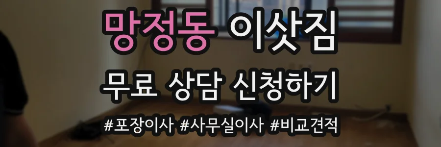 망정동 이삿짐