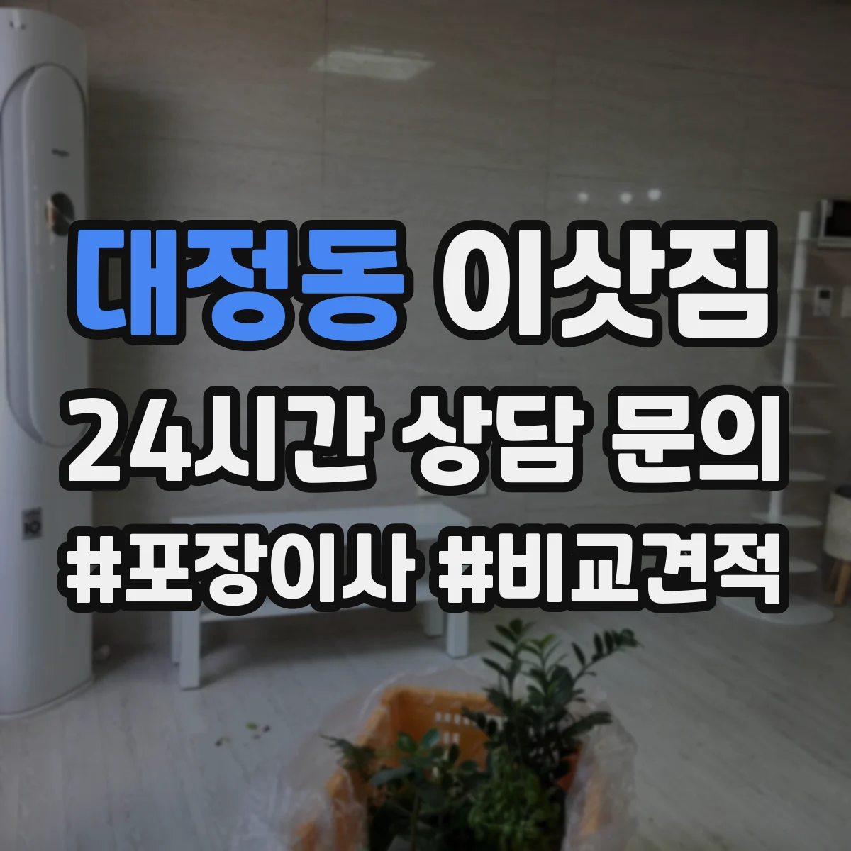 대정동 이삿짐