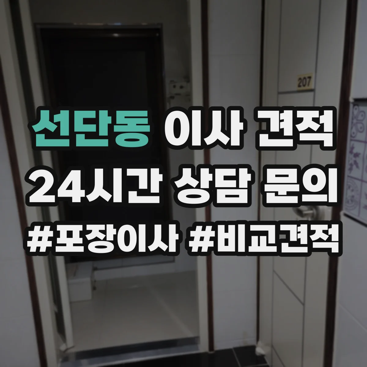 선단동 이사 견적