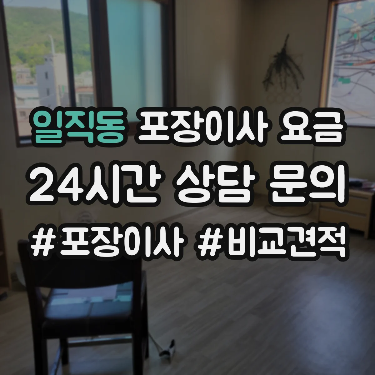 일직동 포장이사 요금