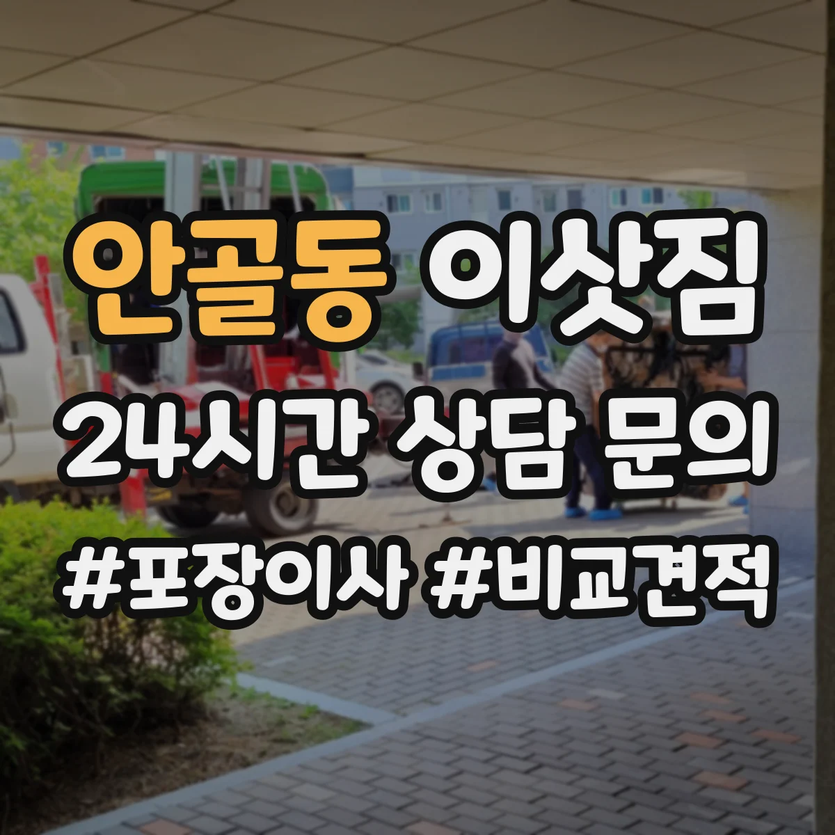 안골동 이삿짐