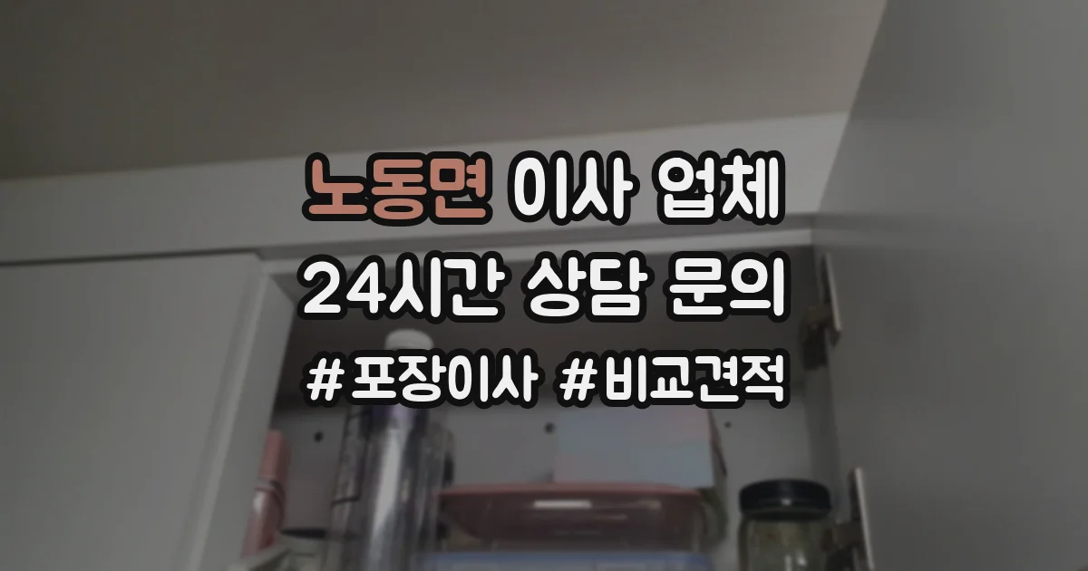 노동면 이사 업체