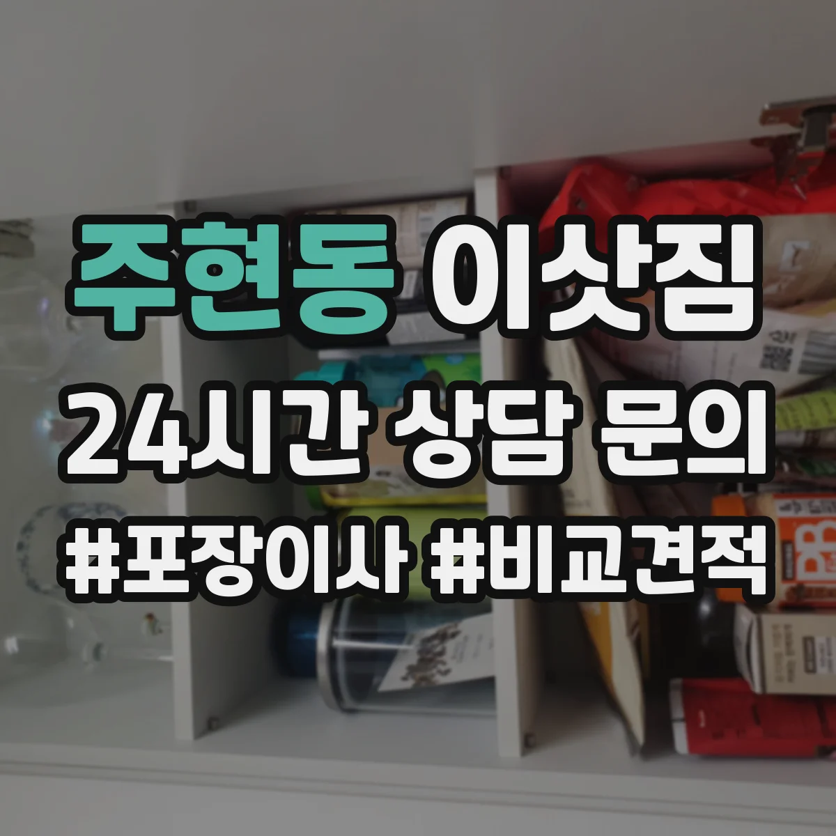 주현동 이삿짐