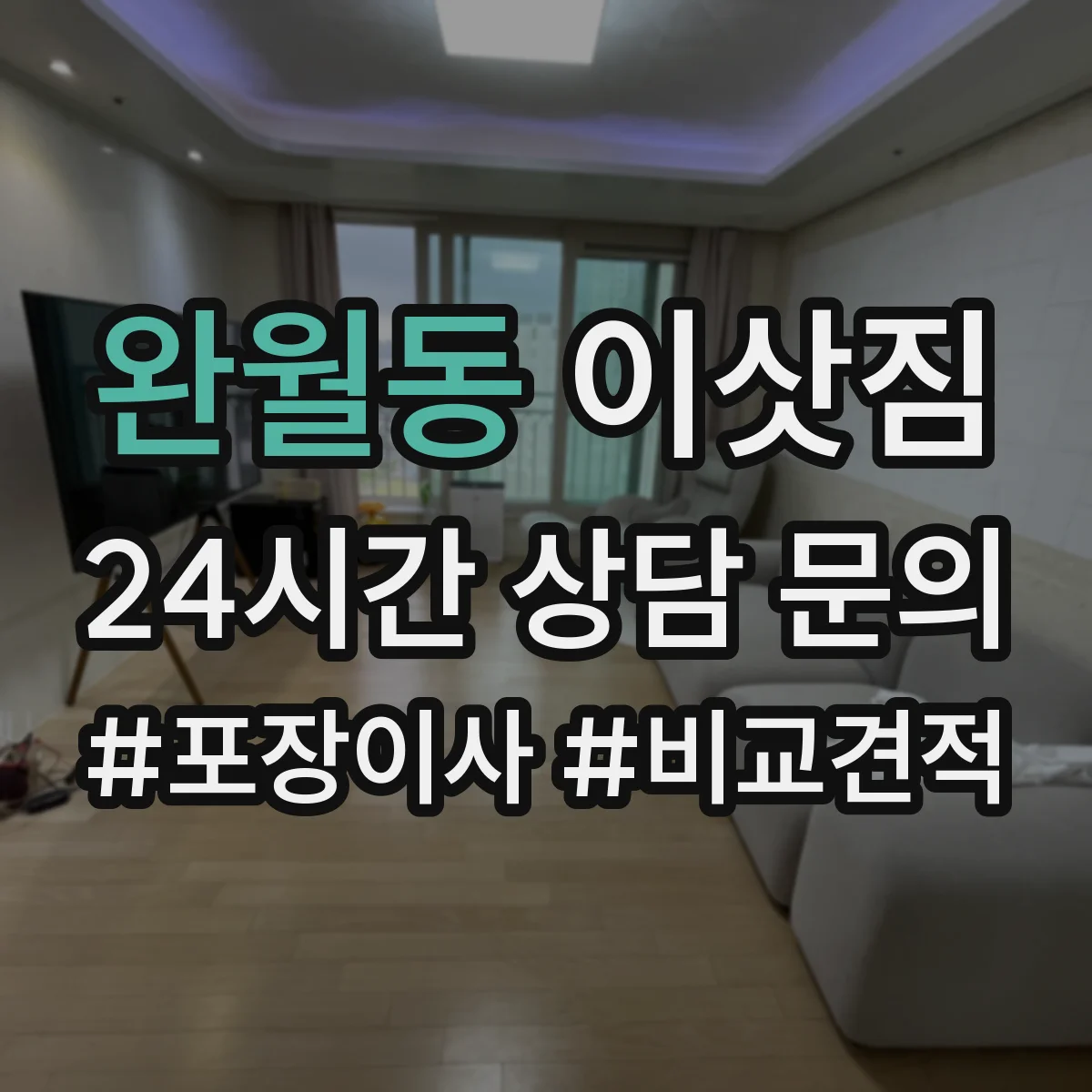 완월동 이삿짐