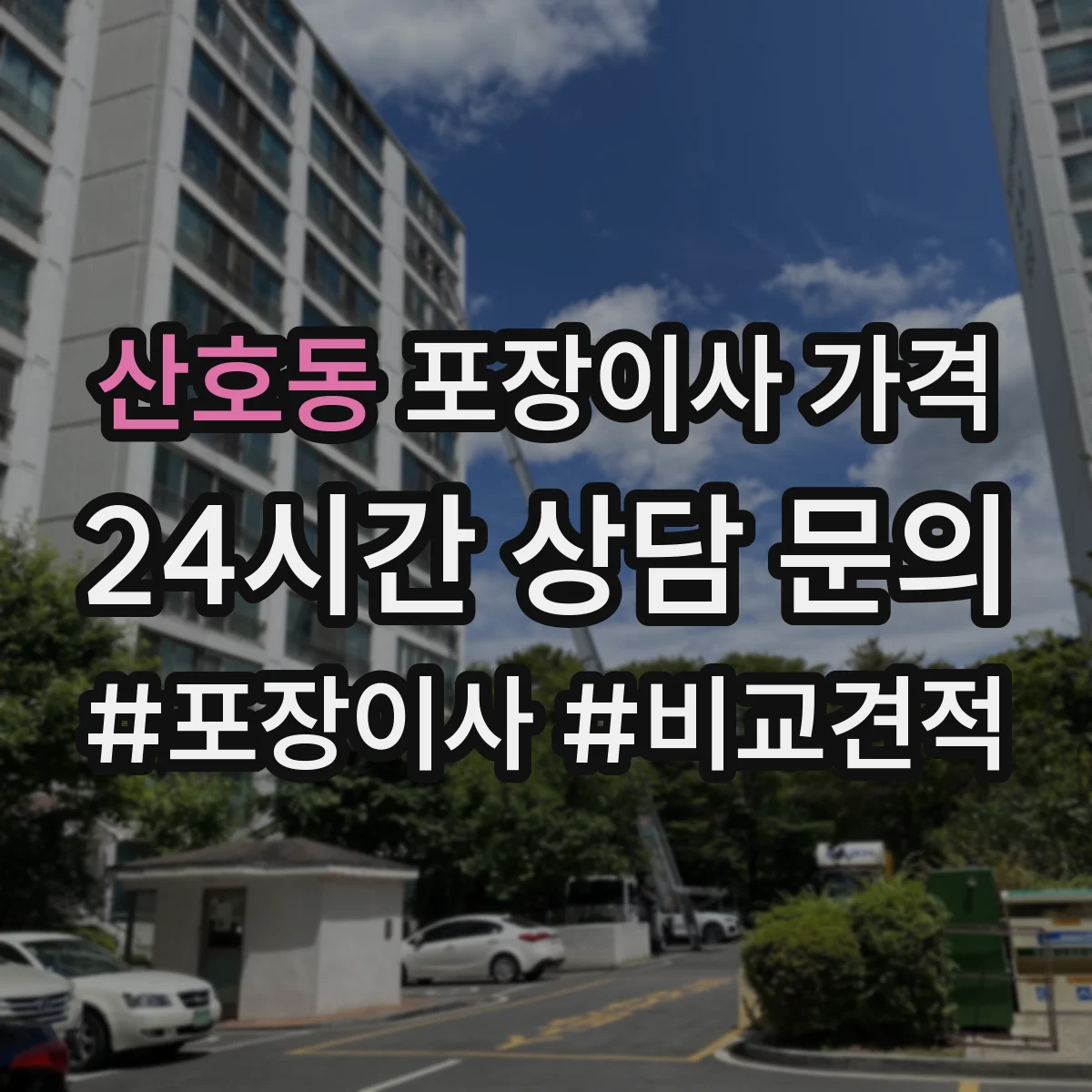 산호동 포장이사 가격