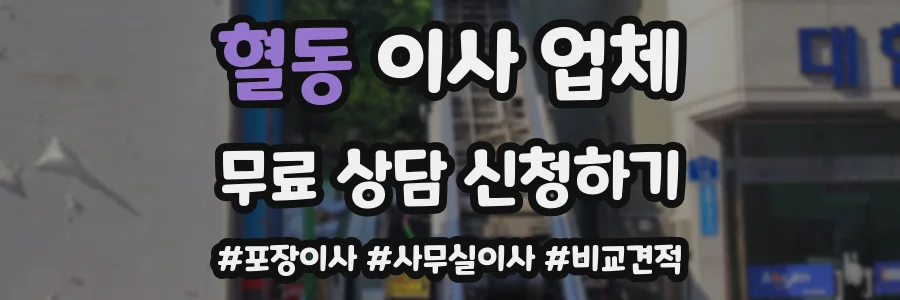 혈동 이사 업체