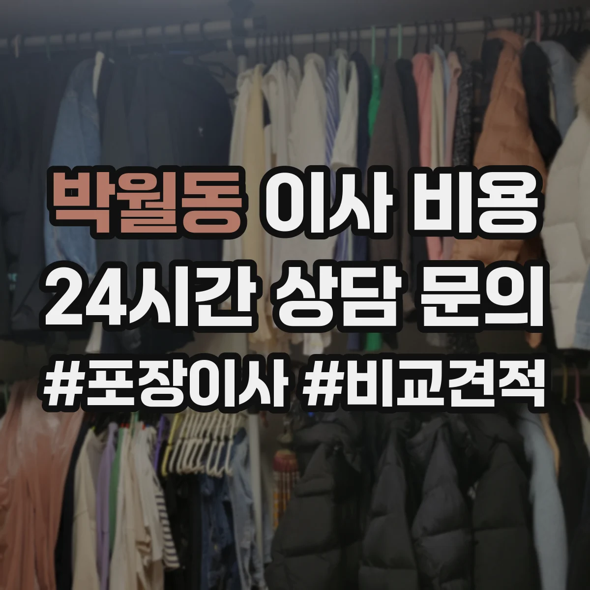 박월동 이사 비용