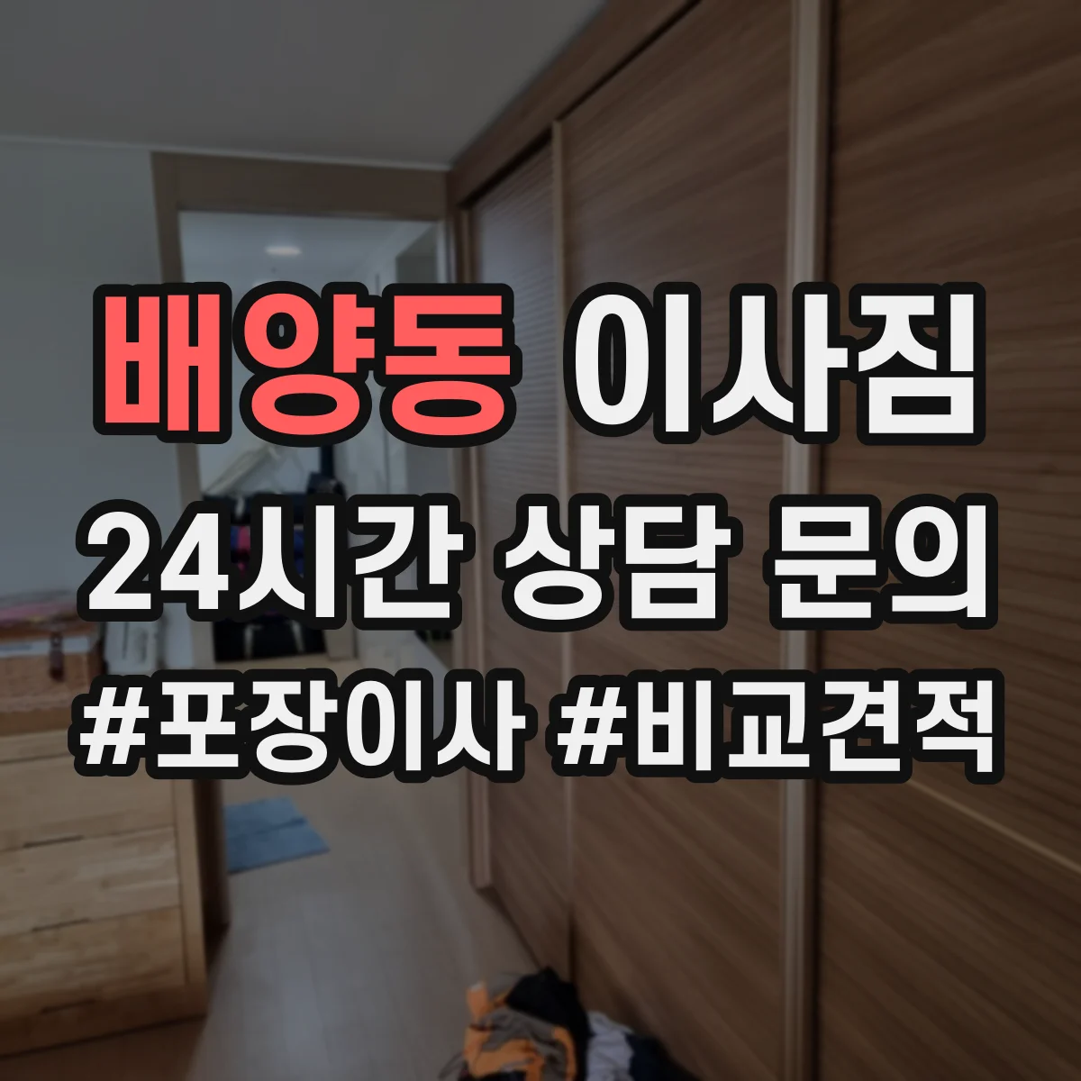 배양동 이사짐