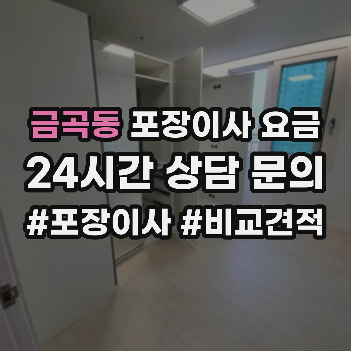 금곡동 포장이사 요금