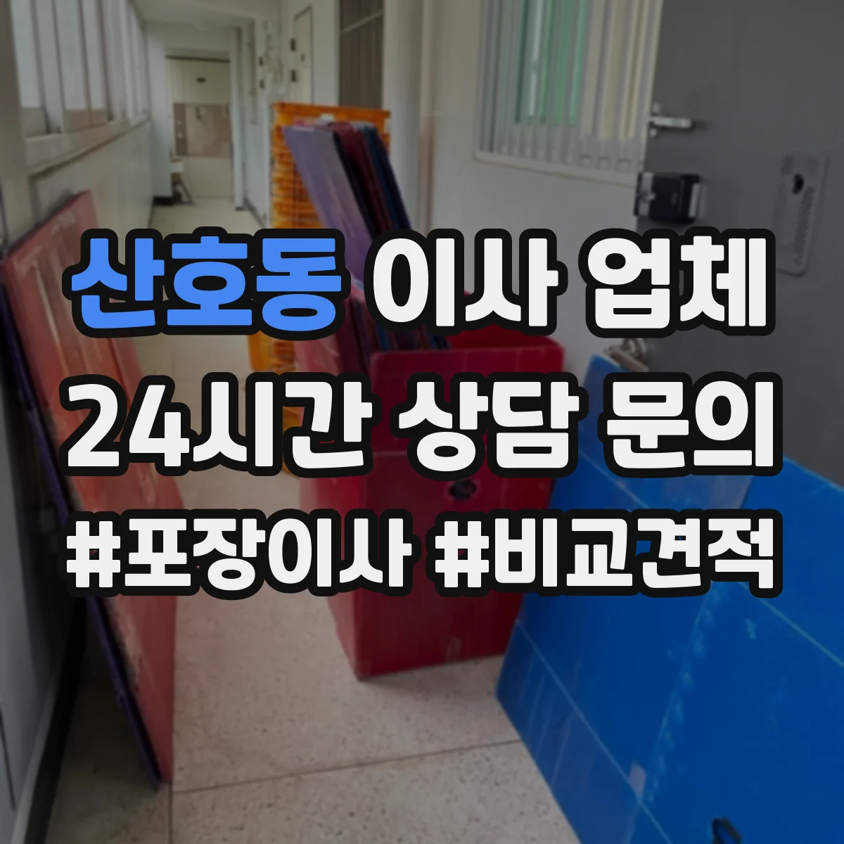 산호동 이사 업체