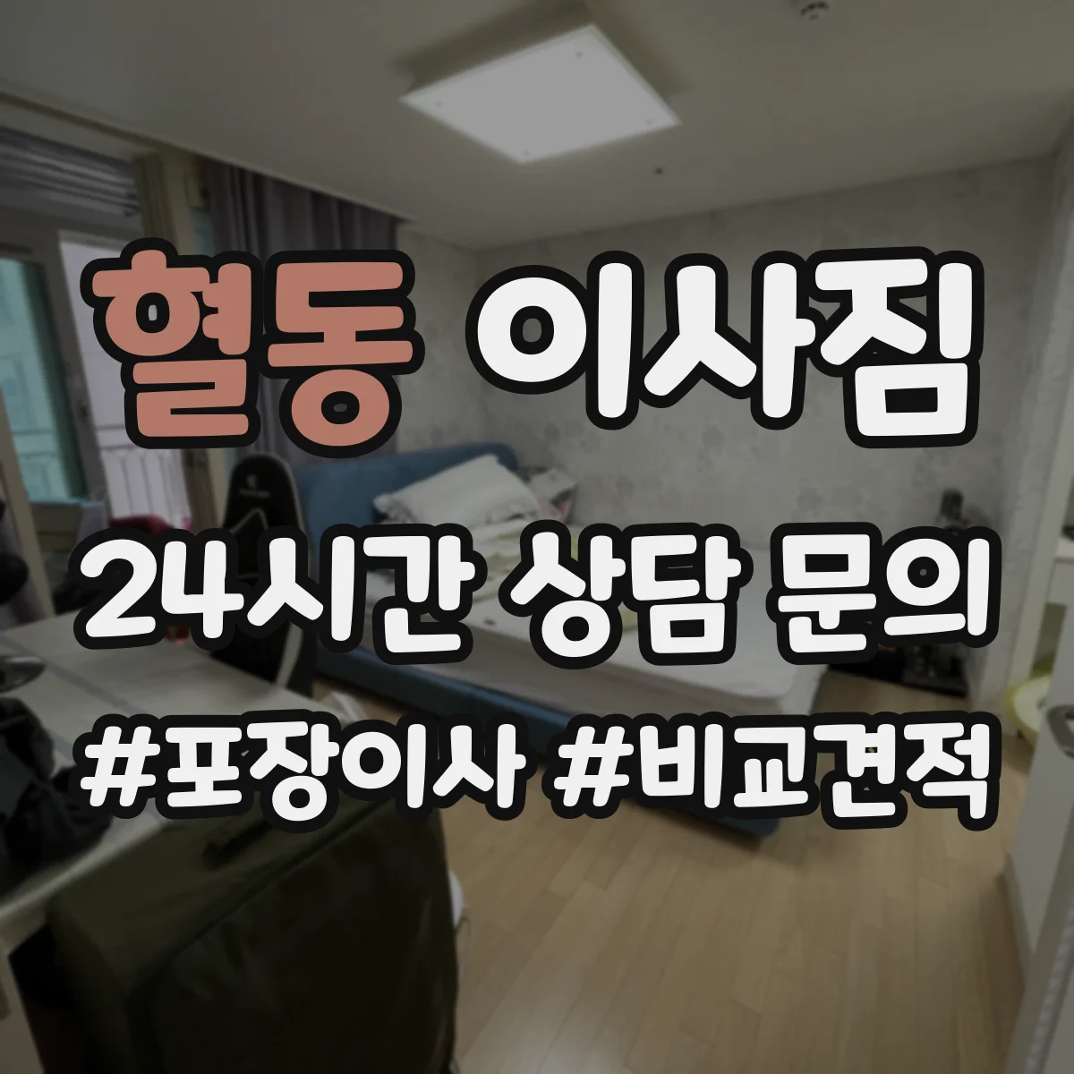 혈동 이사짐