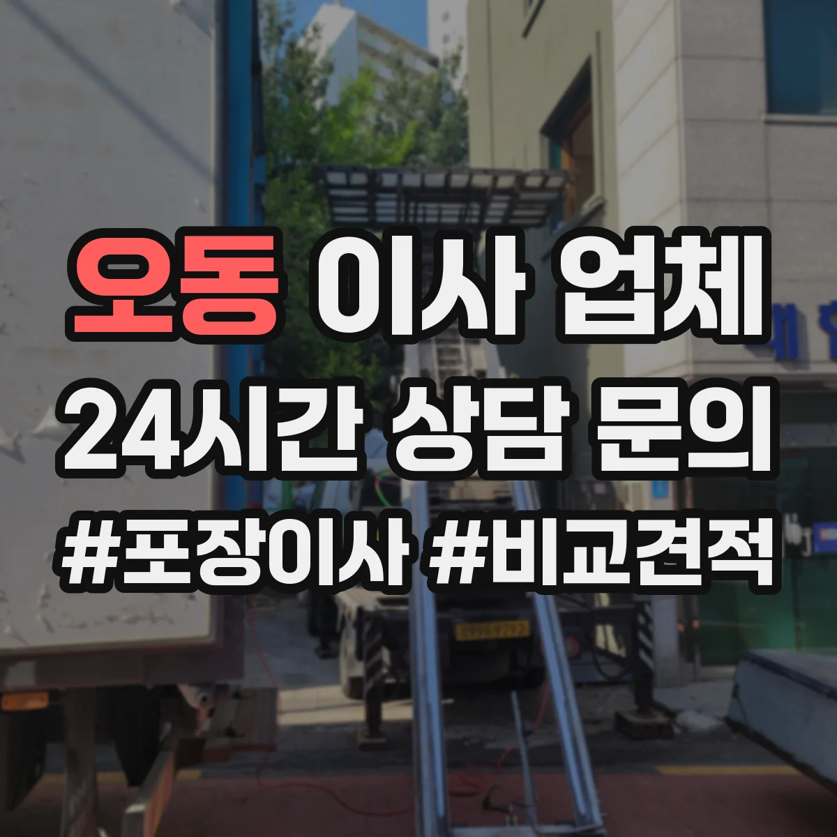 오동 이사 업체