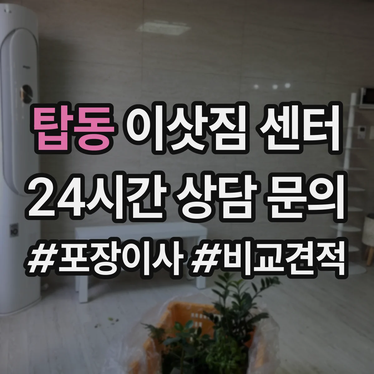 탑동 이삿짐 센터