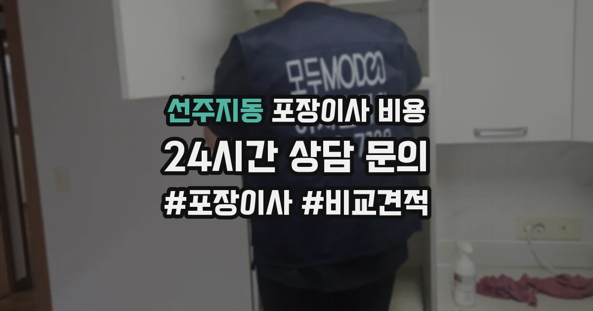선주지동 포장이사 비용