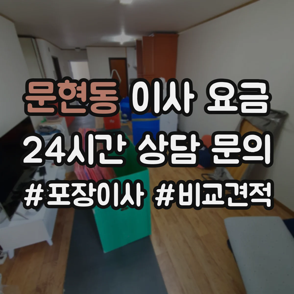 문현동 이사 요금