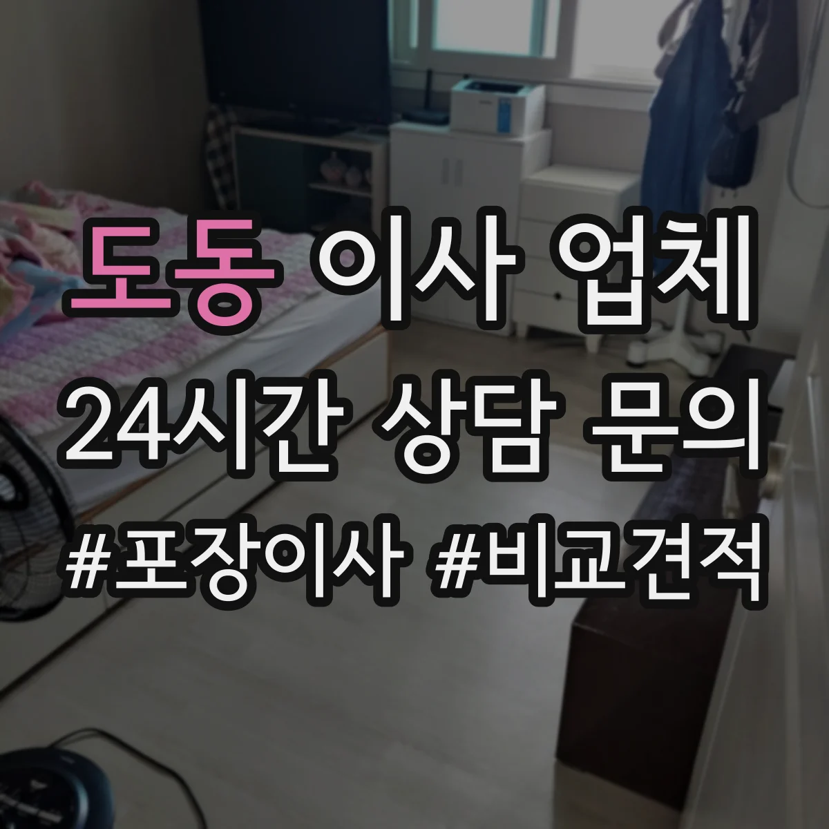 도동 이사 업체
