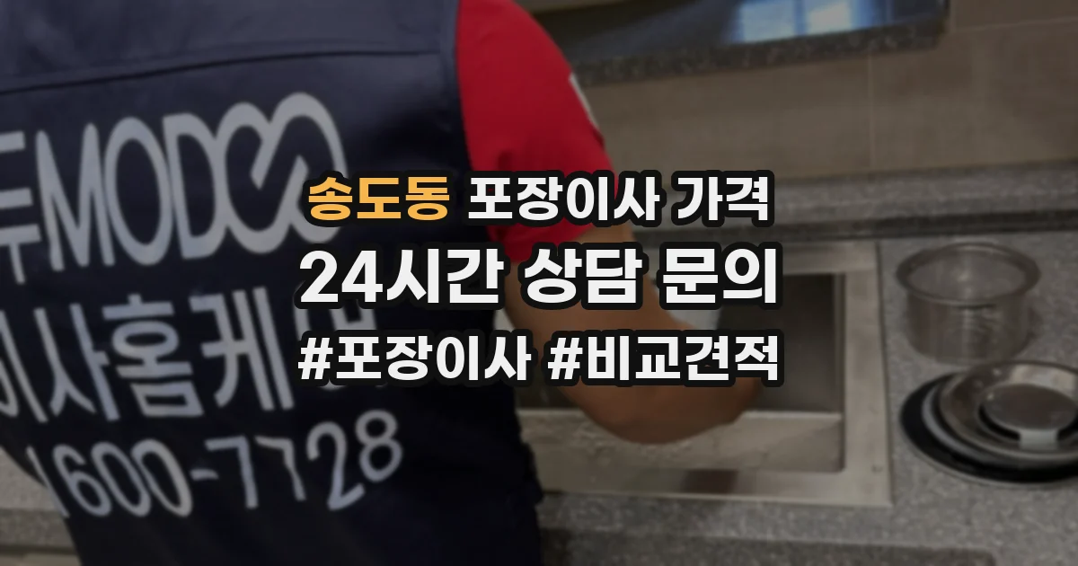 송도동 포장이사 가격