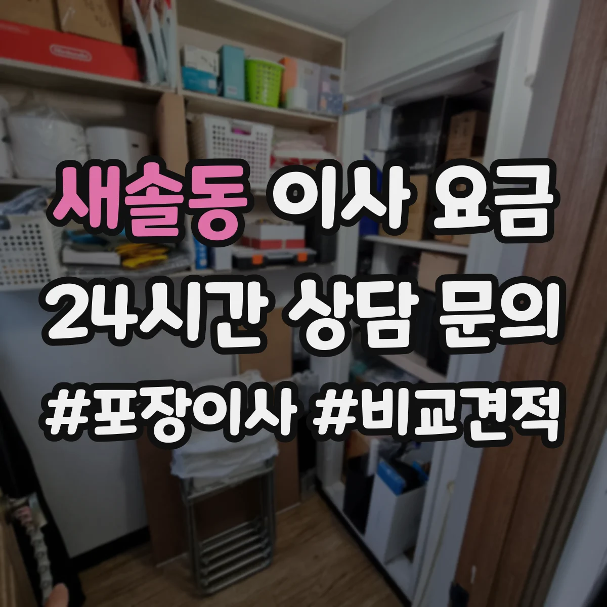 새솔동 이사 요금