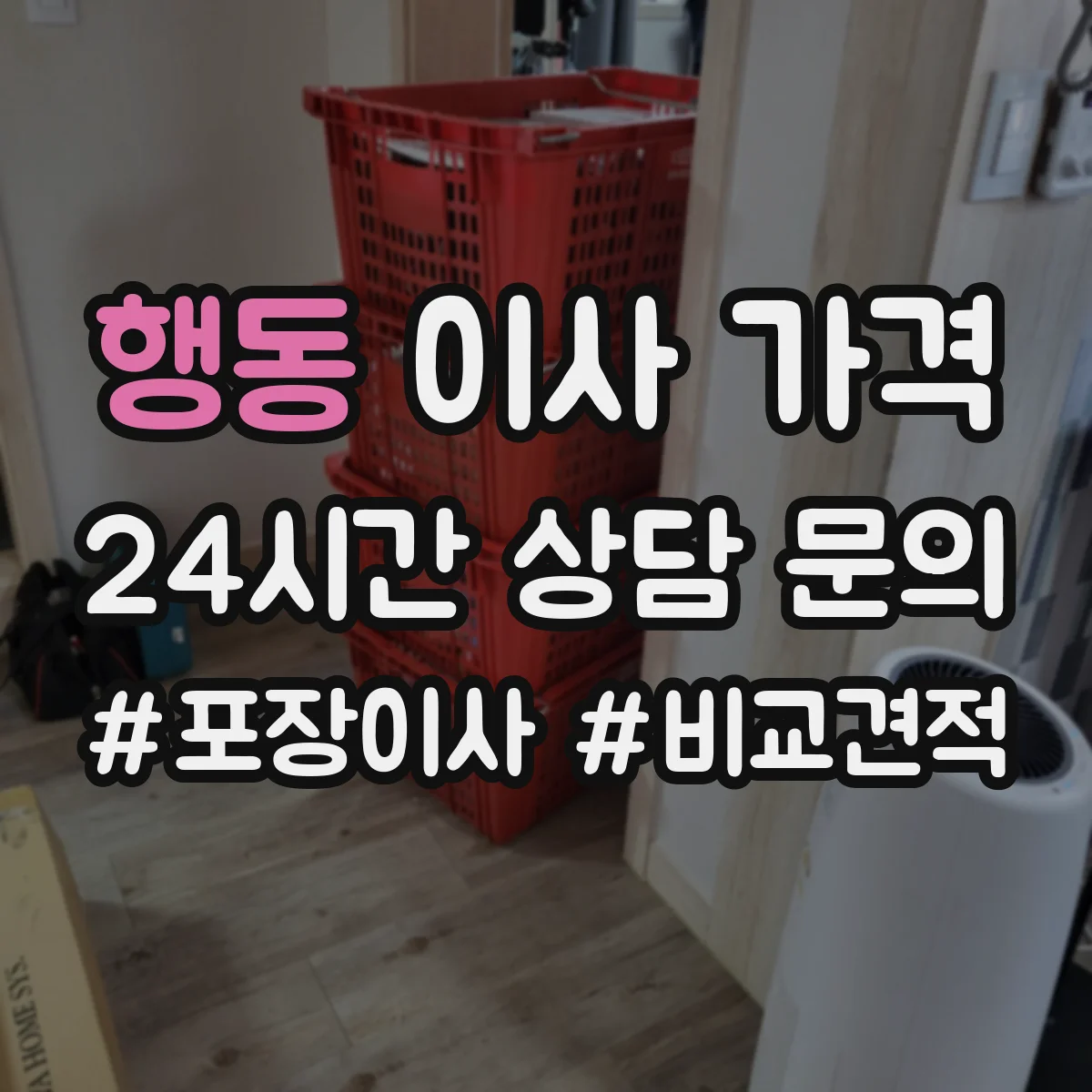 행동 이사 가격
