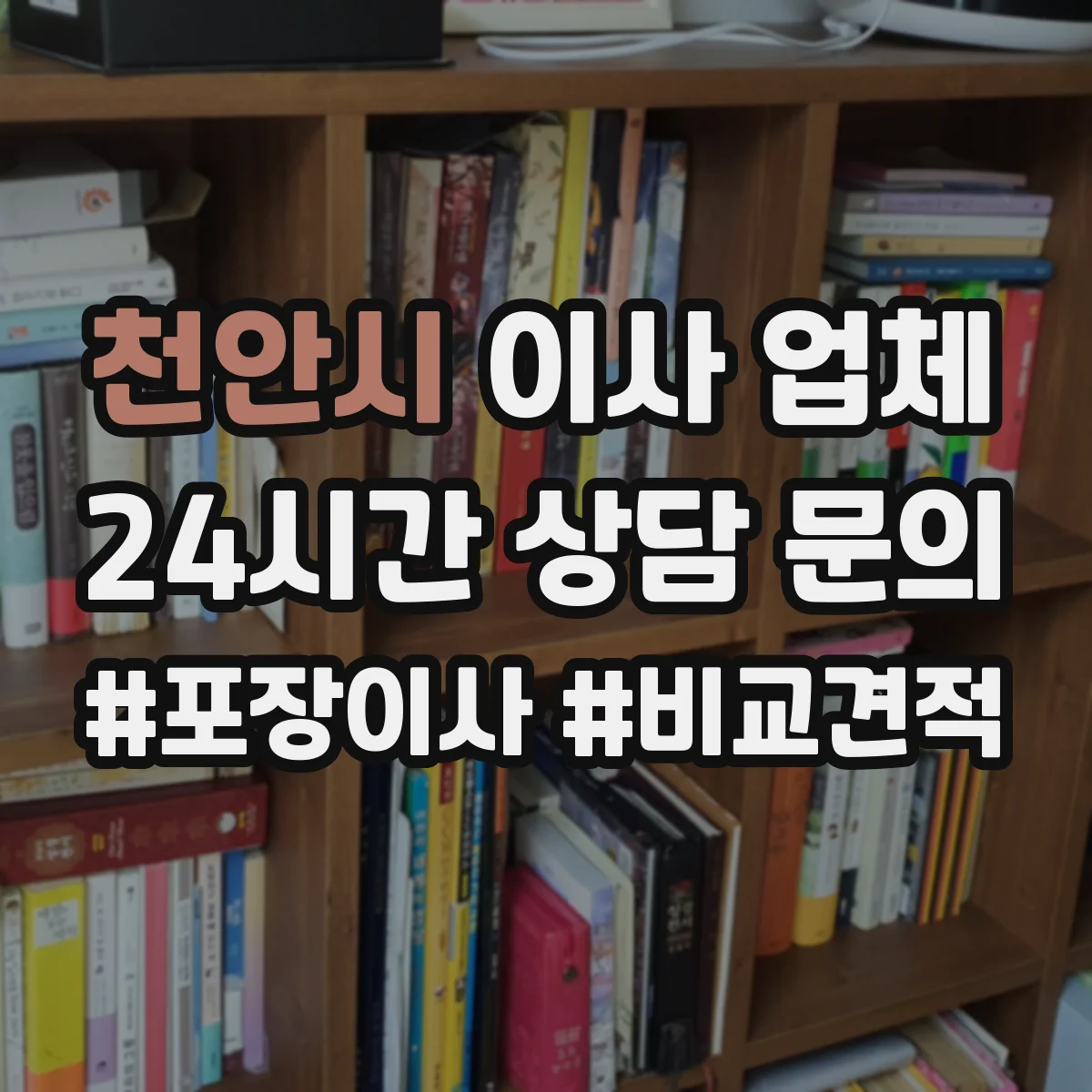 천안시 이사 업체