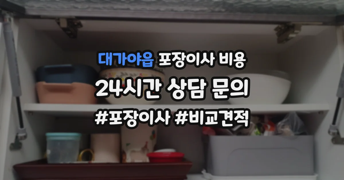 대가야읍 포장이사 비용
