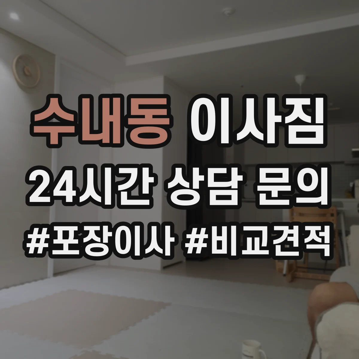 수내동 이사짐