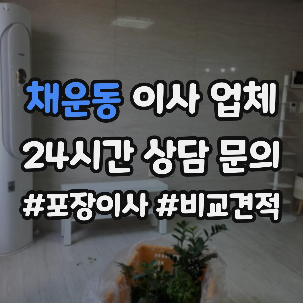 채운동 이사 업체